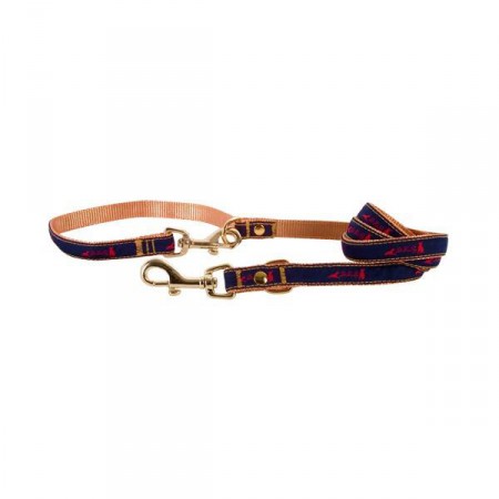 Laisse en NYLON Galon Dokapy bleue.